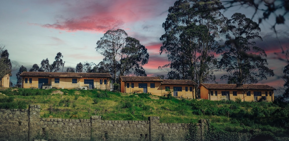 a row of houses sitting on top of a lush green hillside