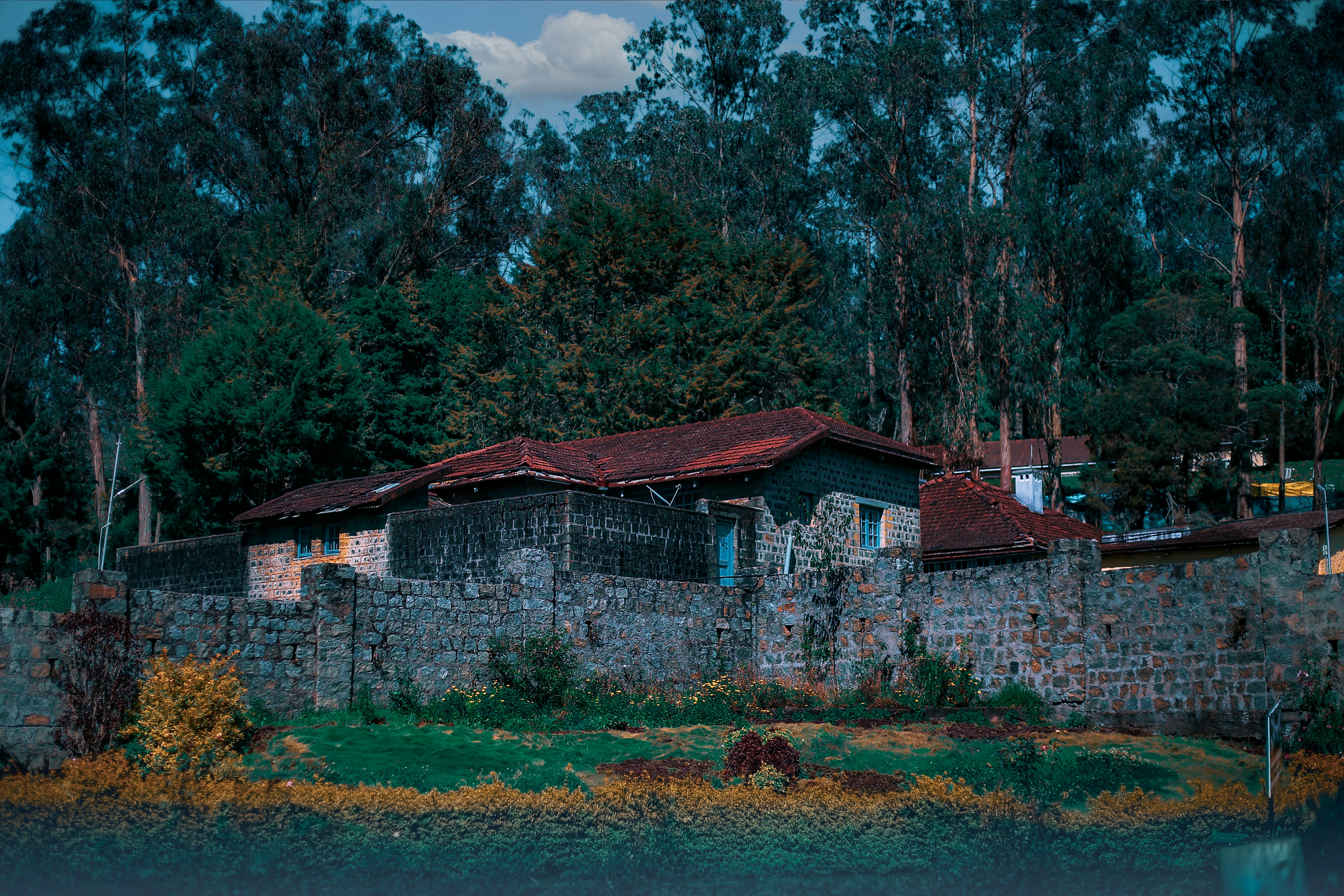Photo by arununnikrishnan