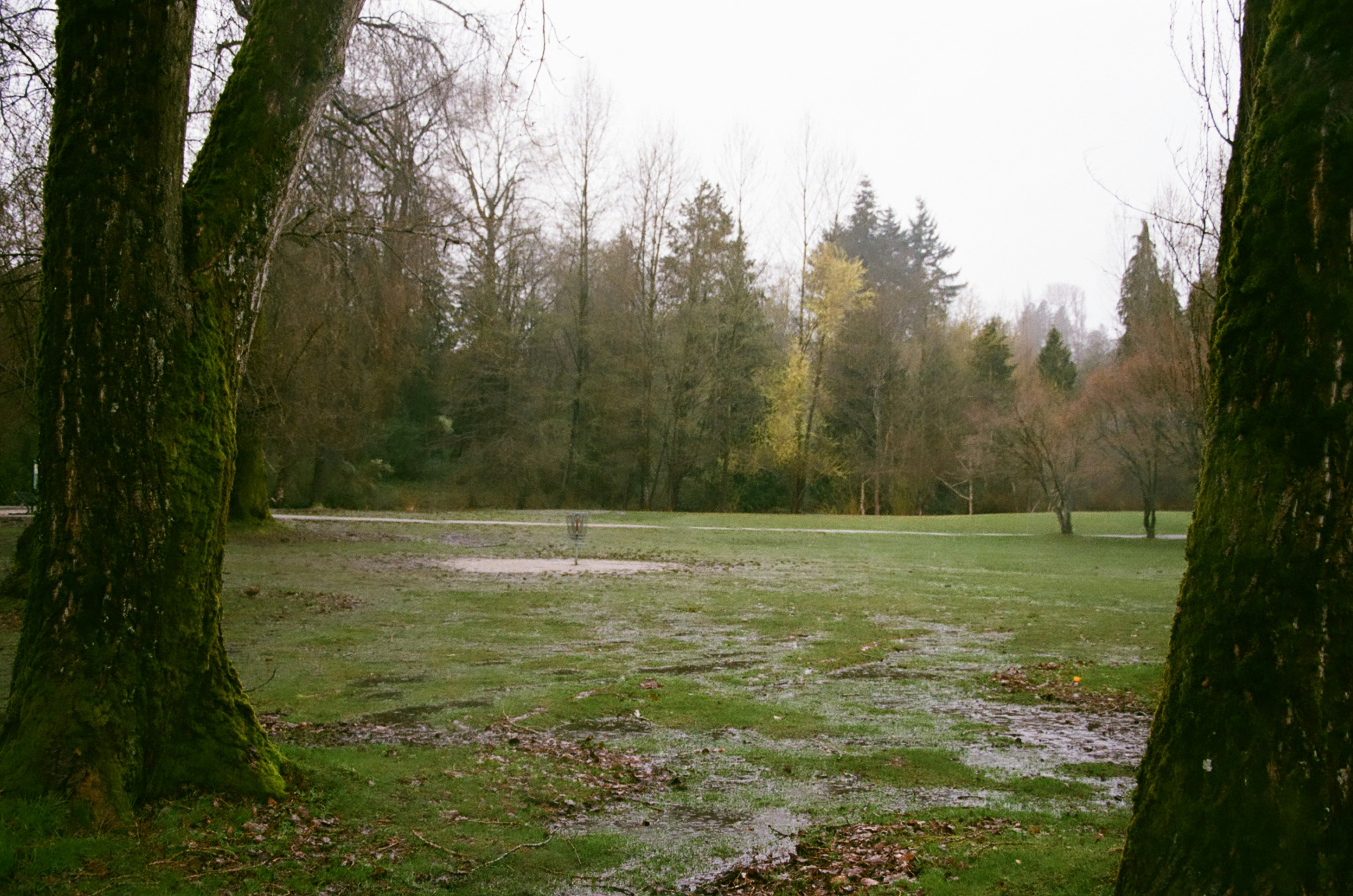 Stephenson Park
