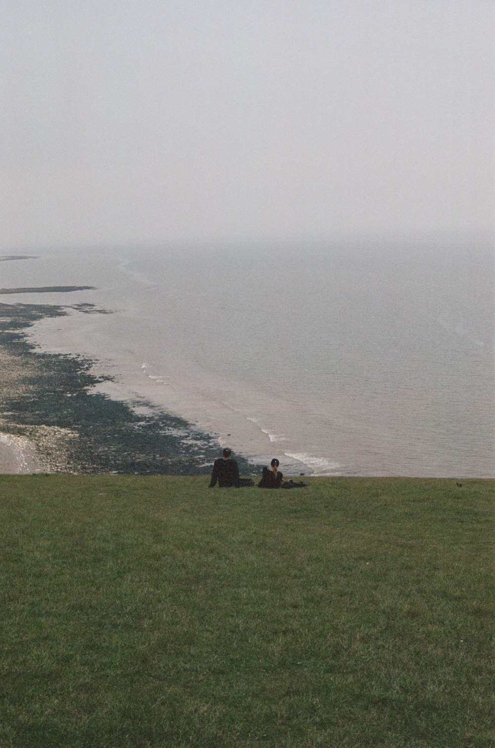 a couple of people sitting on top of a lush green field