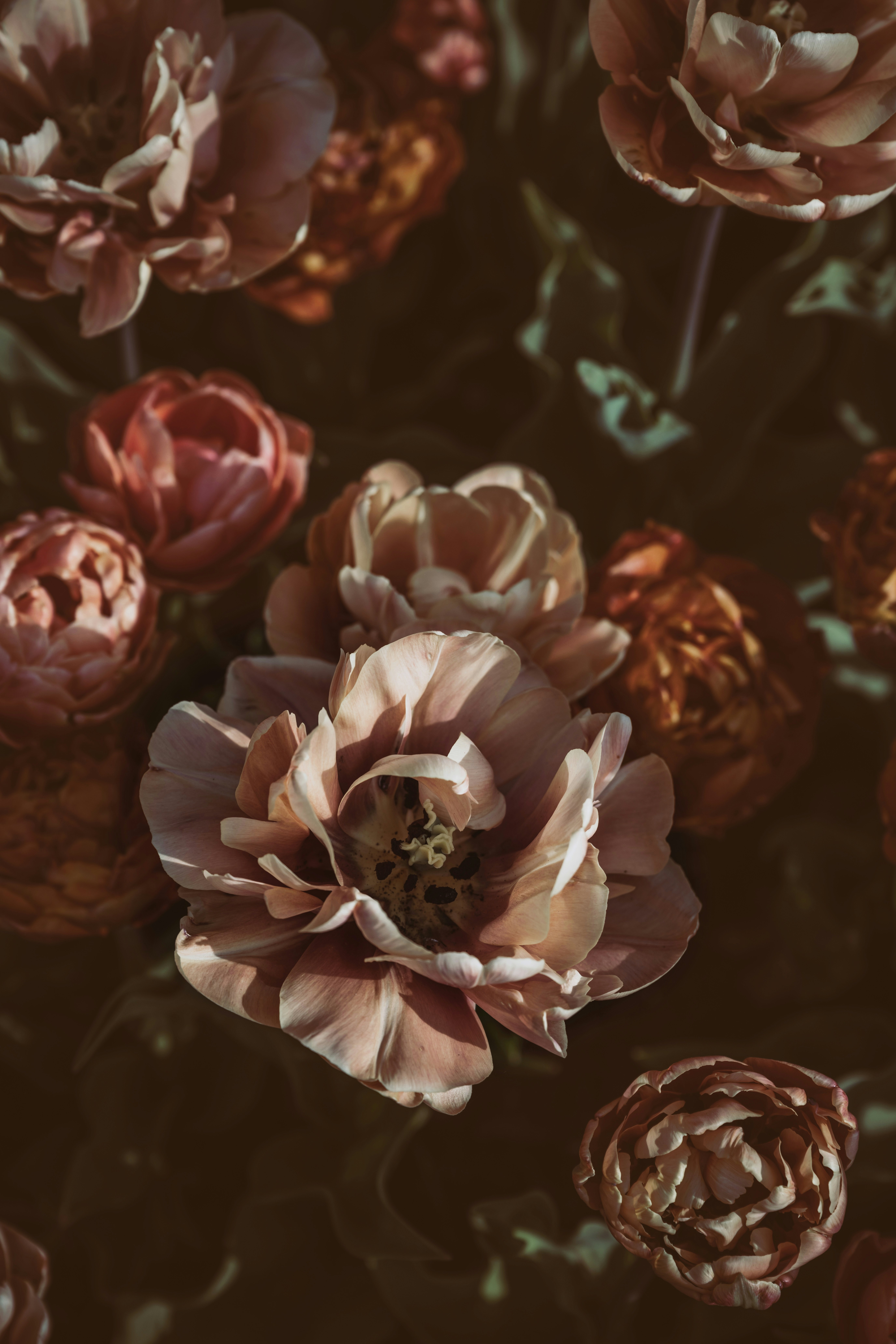 Khen 컬러 빈티지 커피 머그 세트 4개 425.2g15온스 독특한 꽃 호브네일 잔,, image size:3000x4500