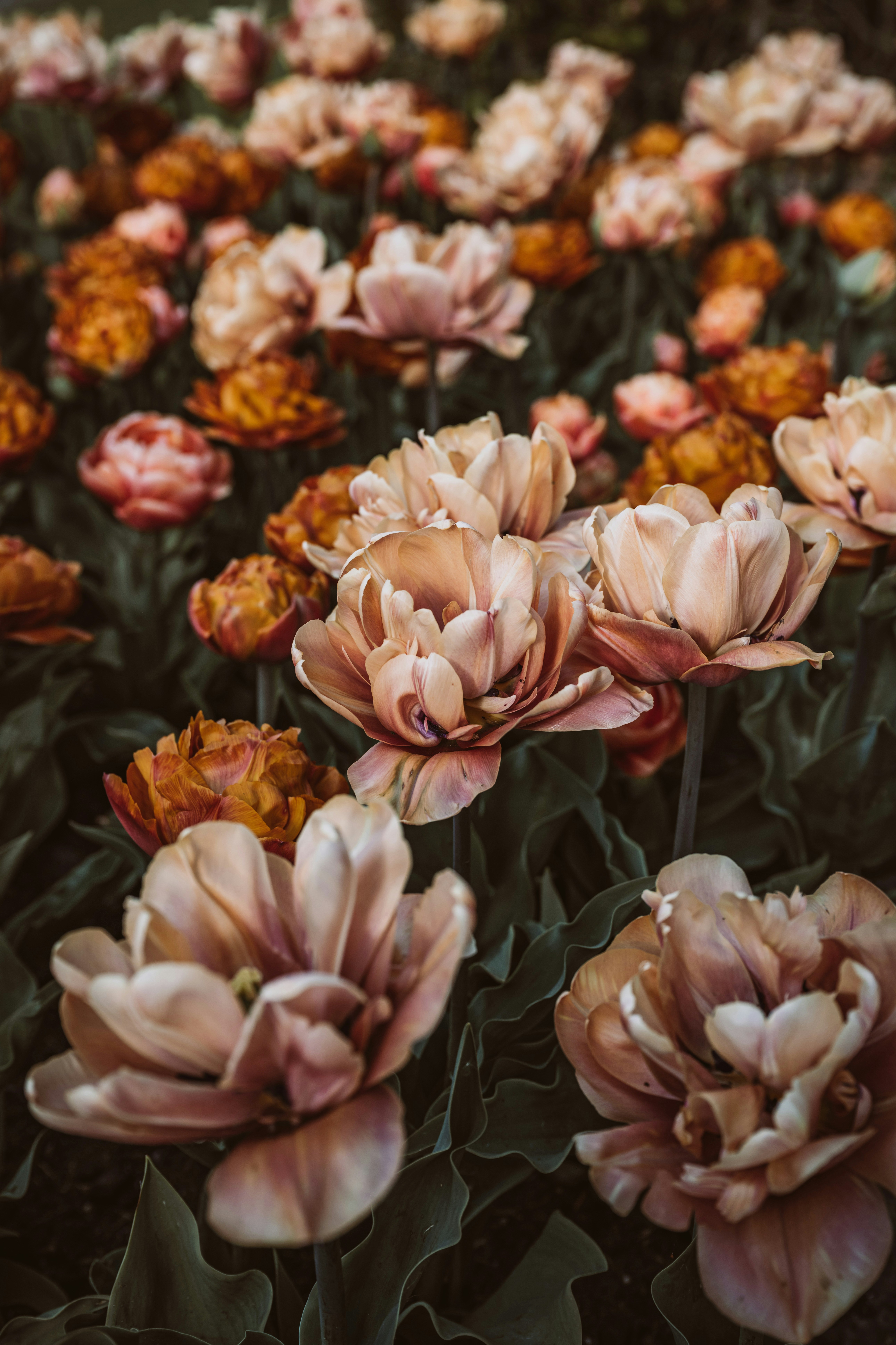 Photo by anitaaustvika