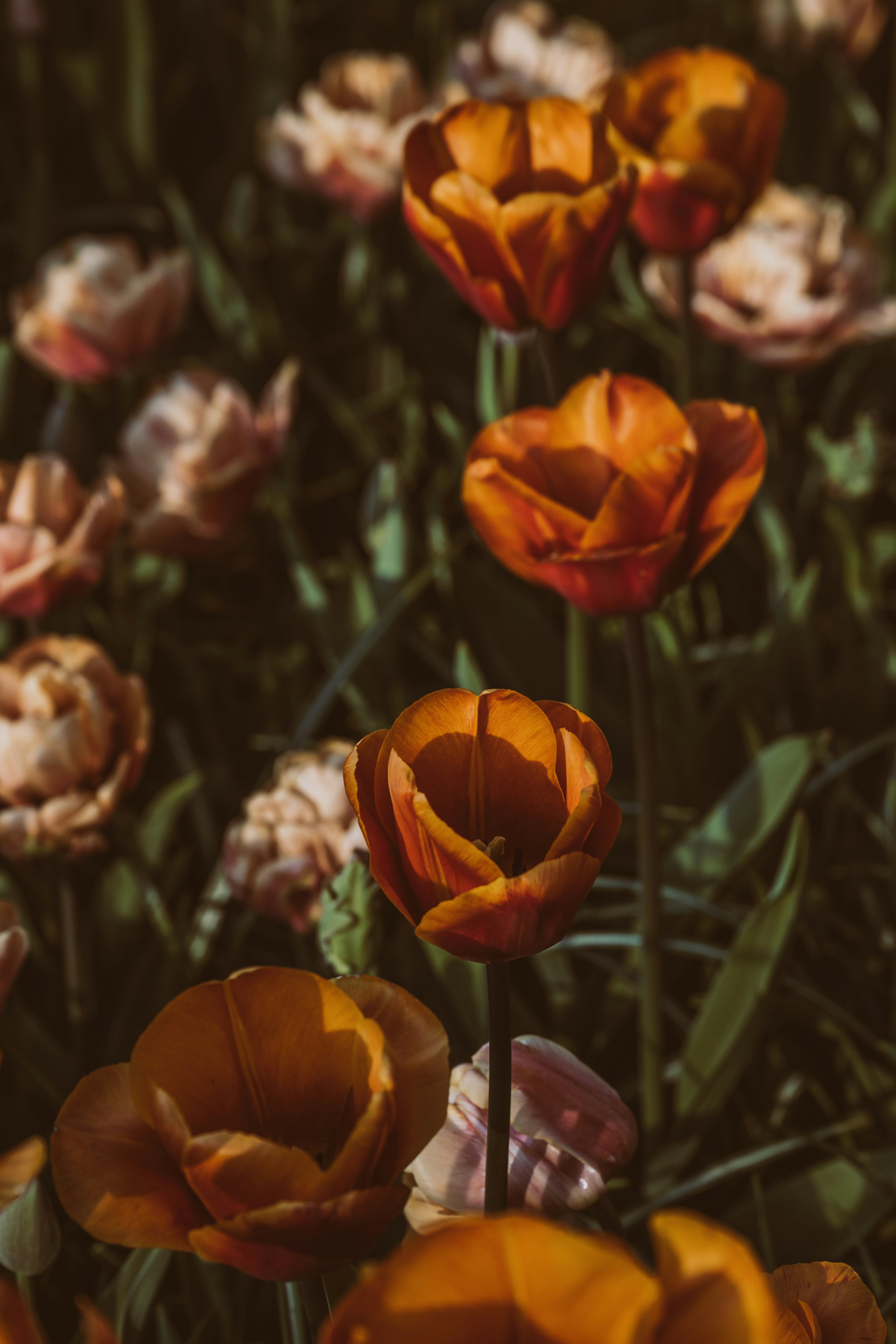 Photo by anitaaustvika