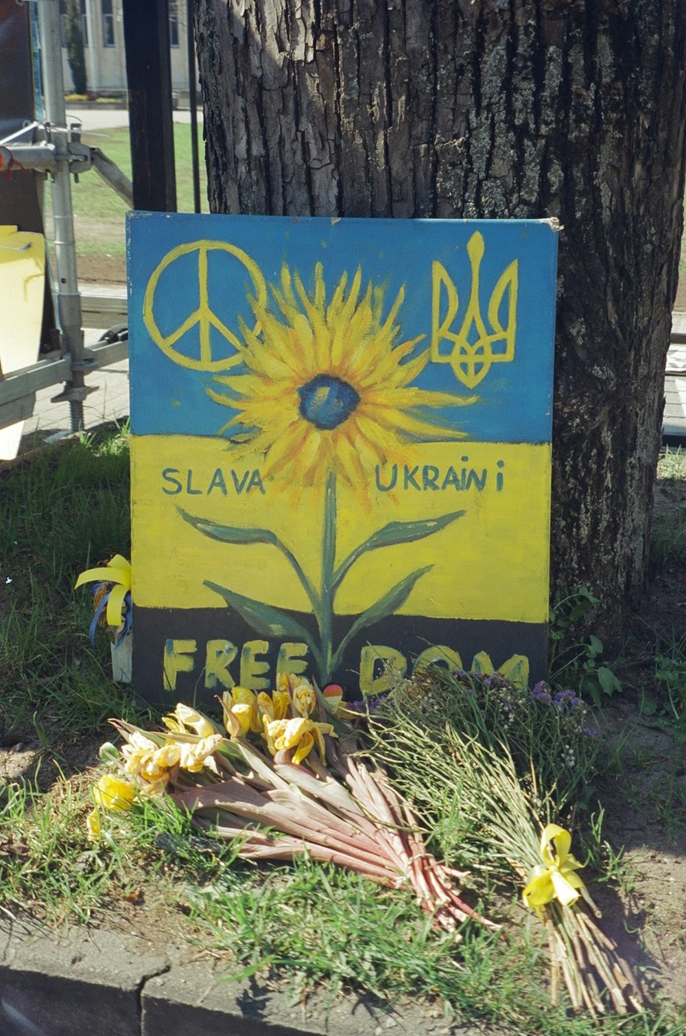 a yellow and blue sign sitting next to a tree