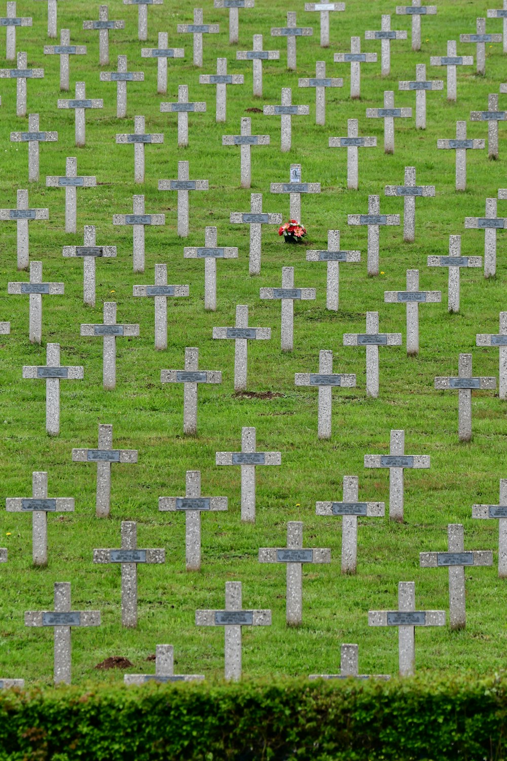 a cemetery with a lawn mower in the middle of it