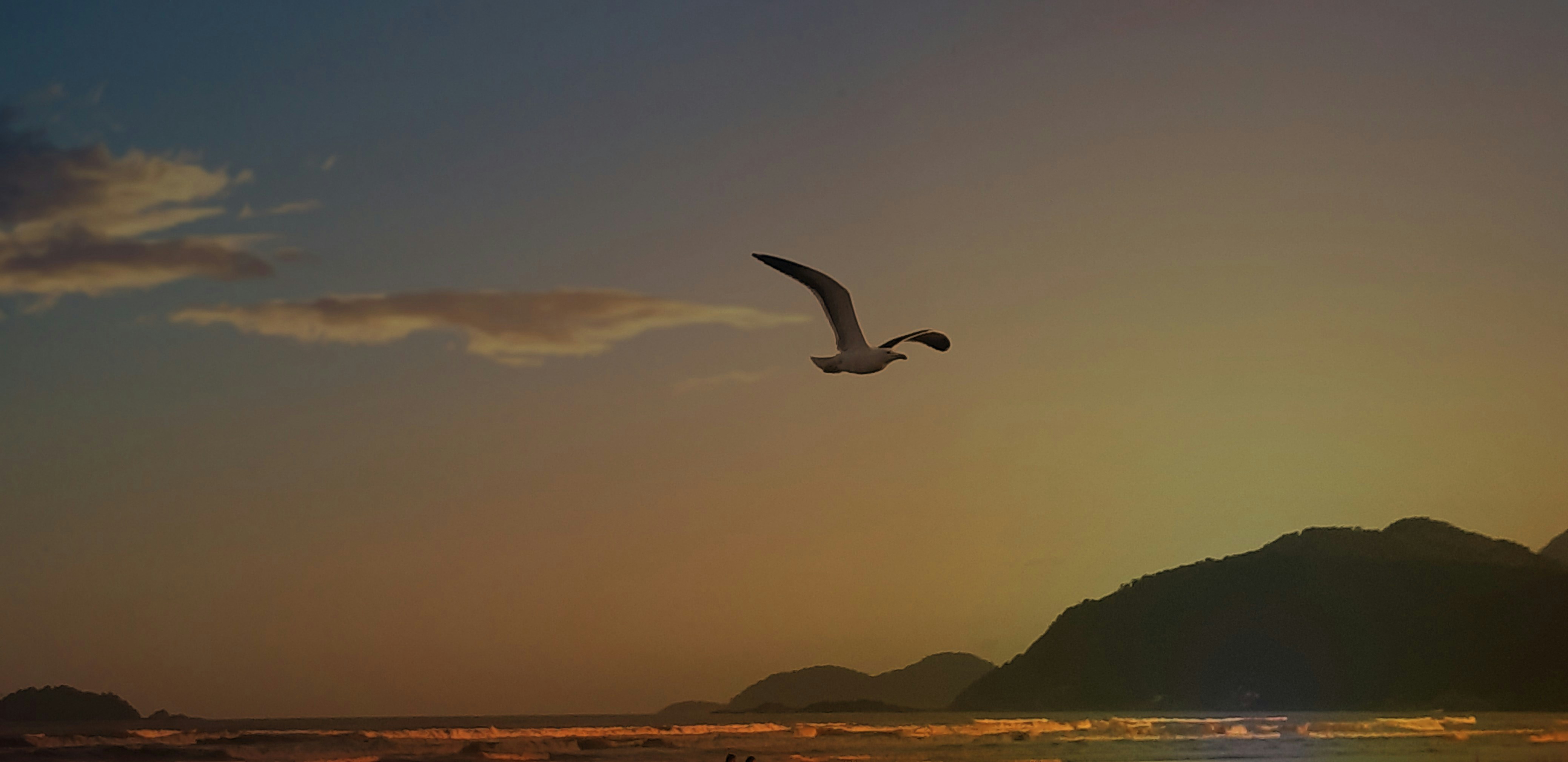 Photo by kriss_birth