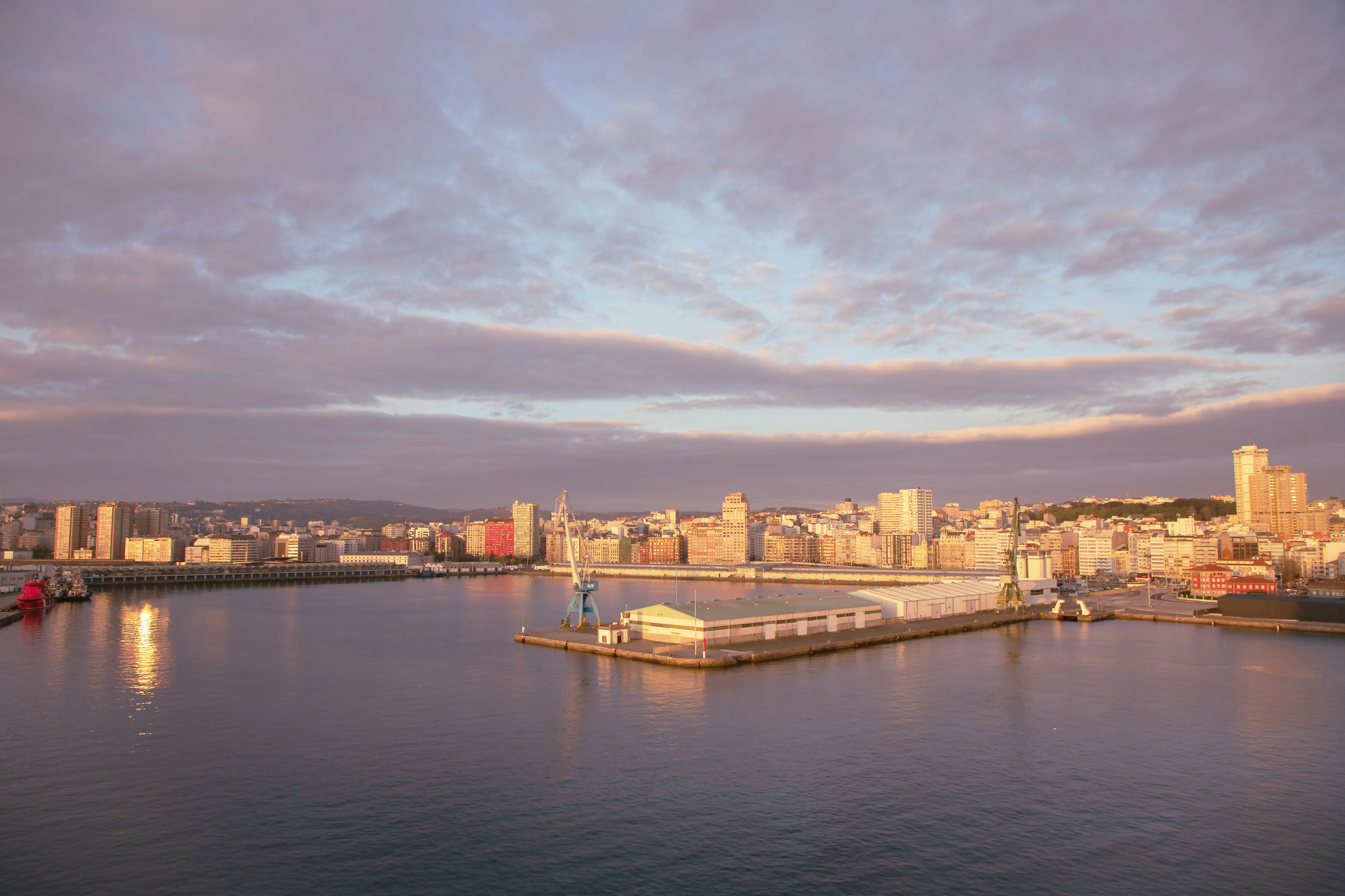 Top 5 Expertos en automatización de inteligencia artificial en A Coruña