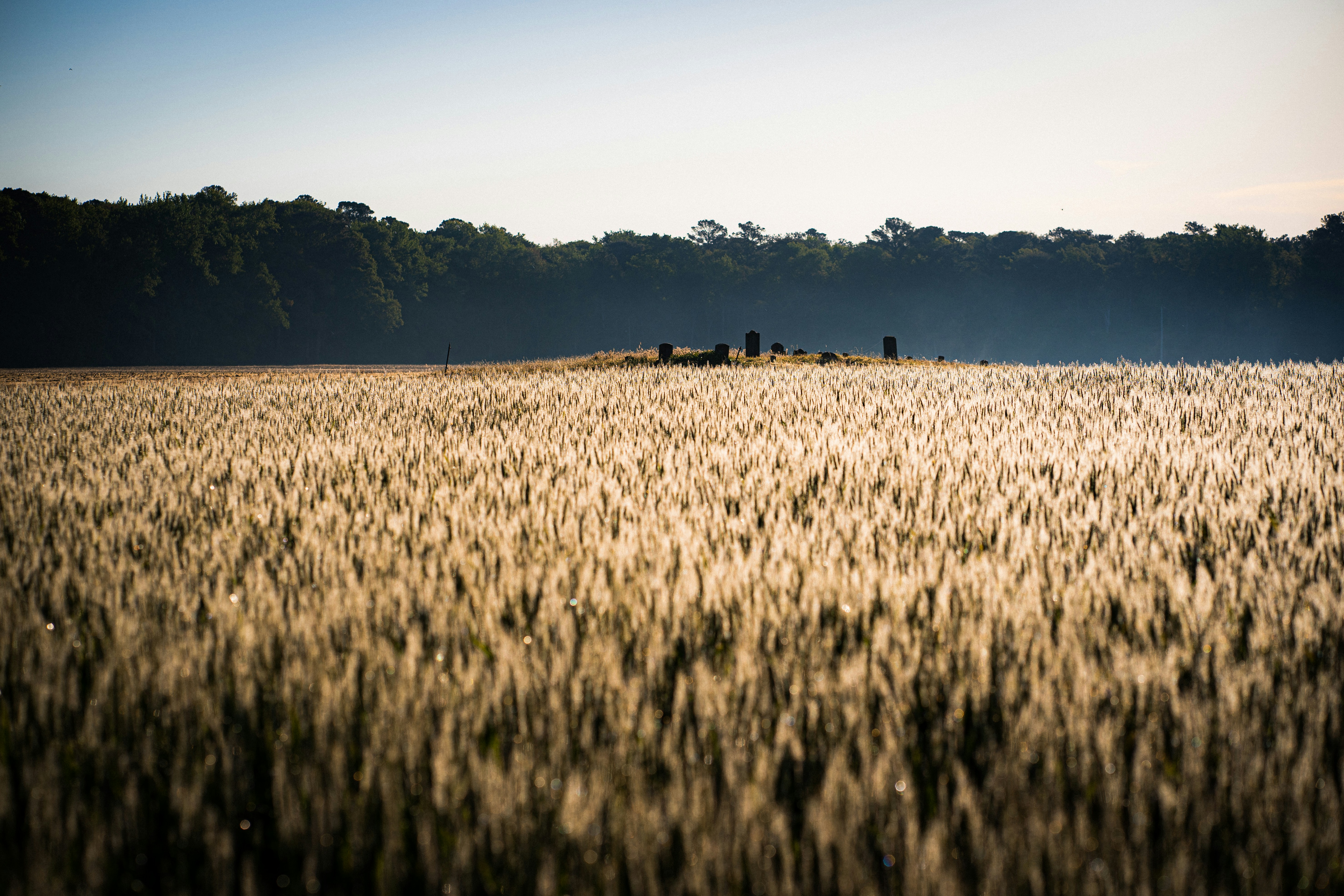 Photo by chrishardyphotography