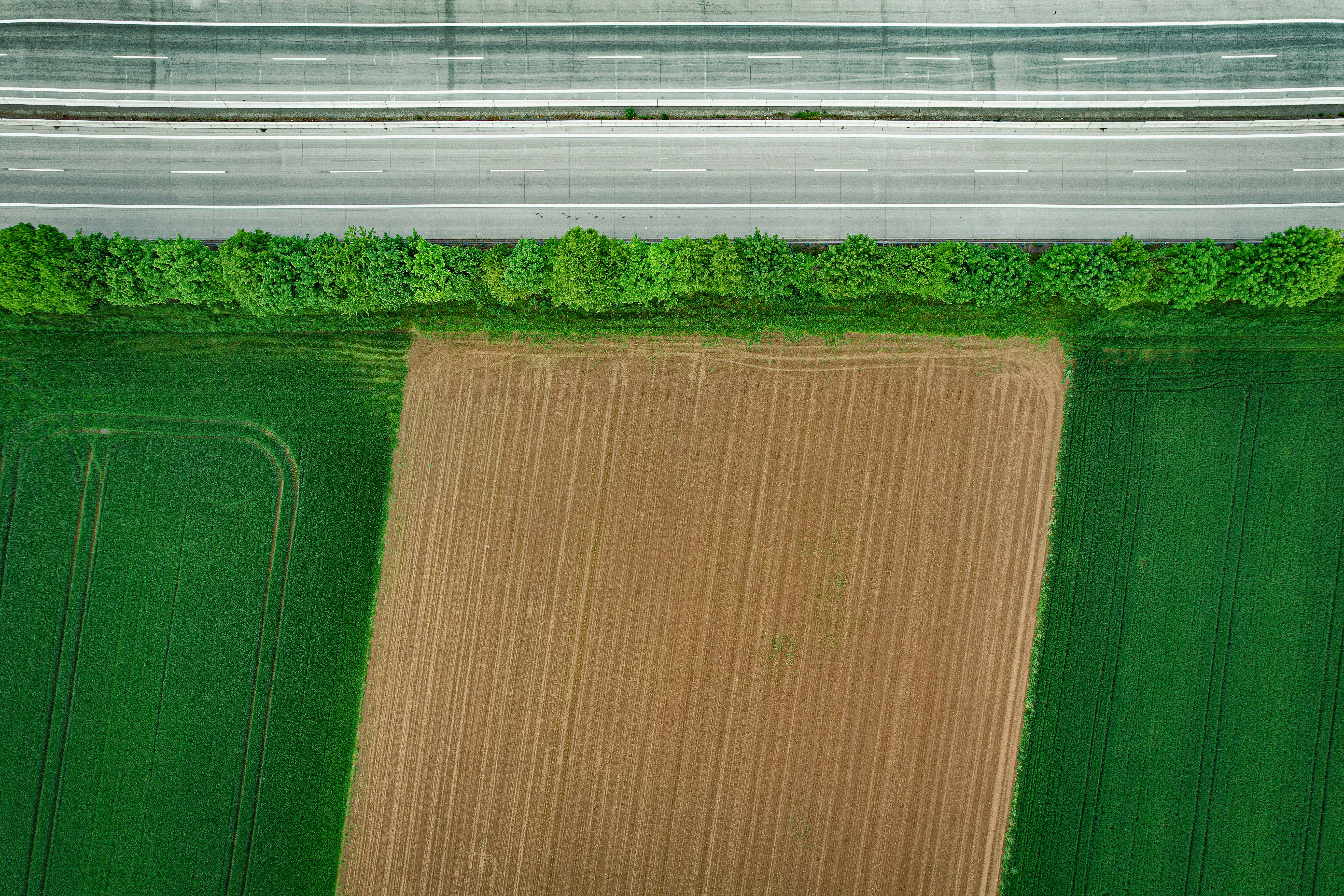 בלוג ומאמרים