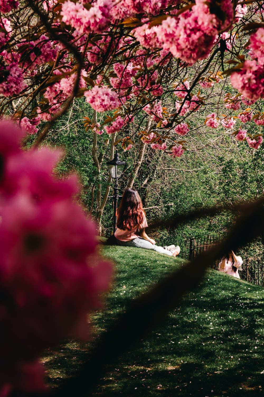 a woman sitting under a tree with pink flowers