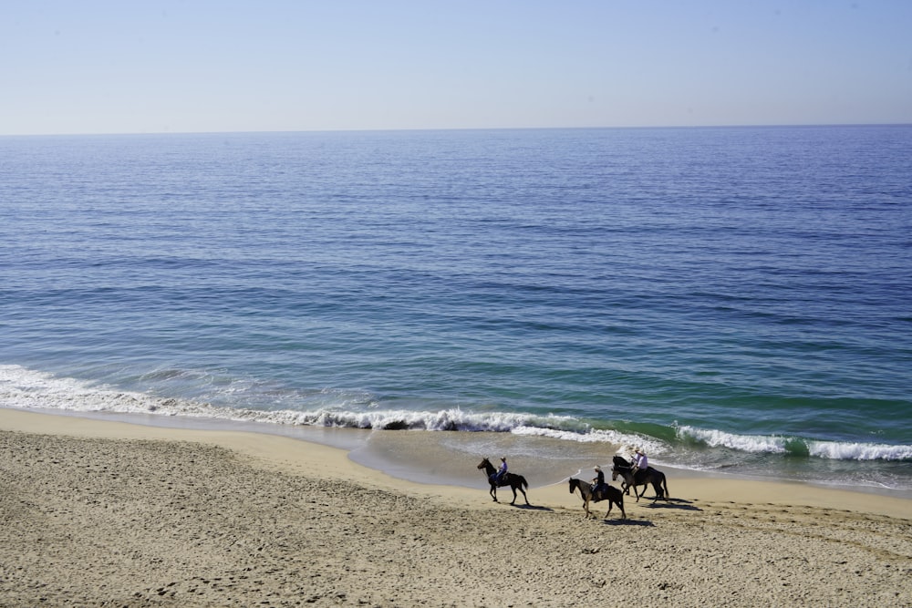 Eine Gruppe von Menschen, die auf einem Sandstrand reiten