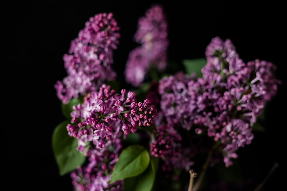 a vase filled with purple flowers on top of a table