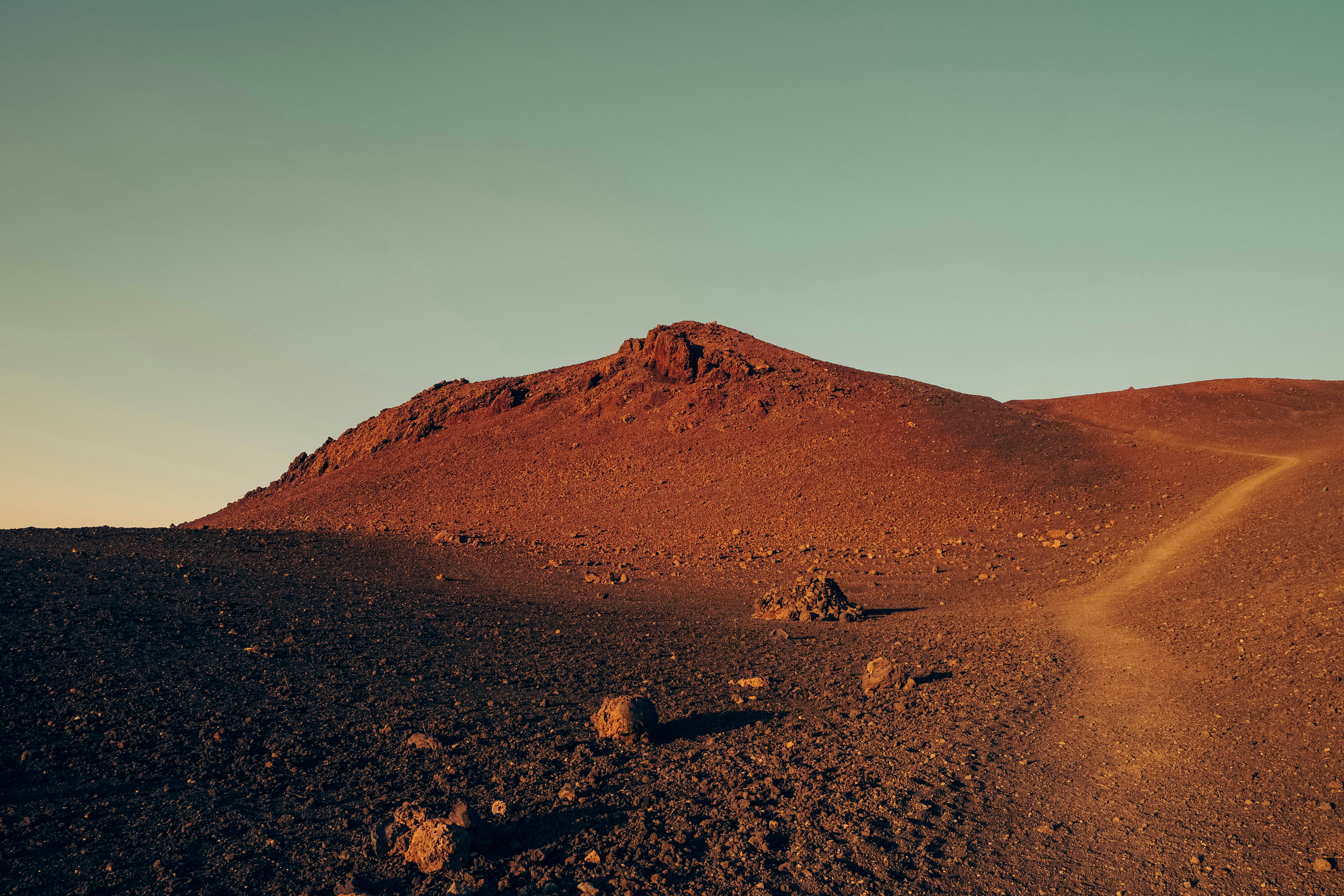 Martian Transformation: From Lush Oasis to Lifeless Desert