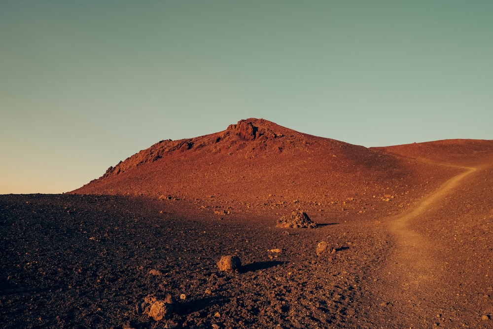 a dirt hill with a trail going through it