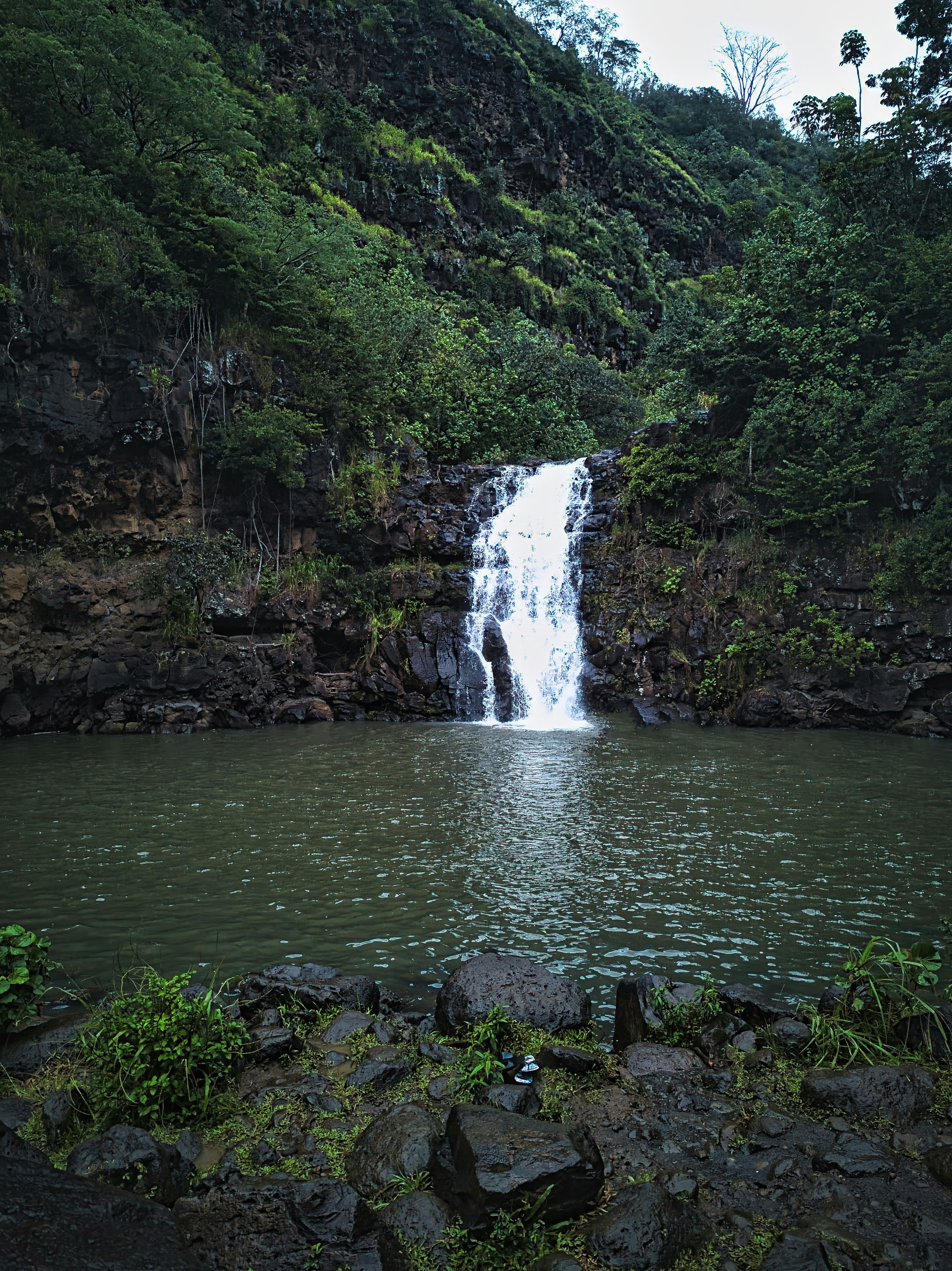Powerful waterfall cascading down rocky cliff face into a green pool below, surrounded by lush tropical vegetation and mist