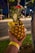 A tropical drink served in a hollowed-out pineapple, garnished with a red cocktail umbrella, a slice of pineapple, and a straw. It is being held by a hand wearing a wristband, with a street scene and foliage in the background.