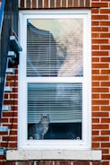 a cat sitting in the window of a brick building