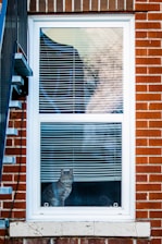 a cat sitting in the window of a brick building