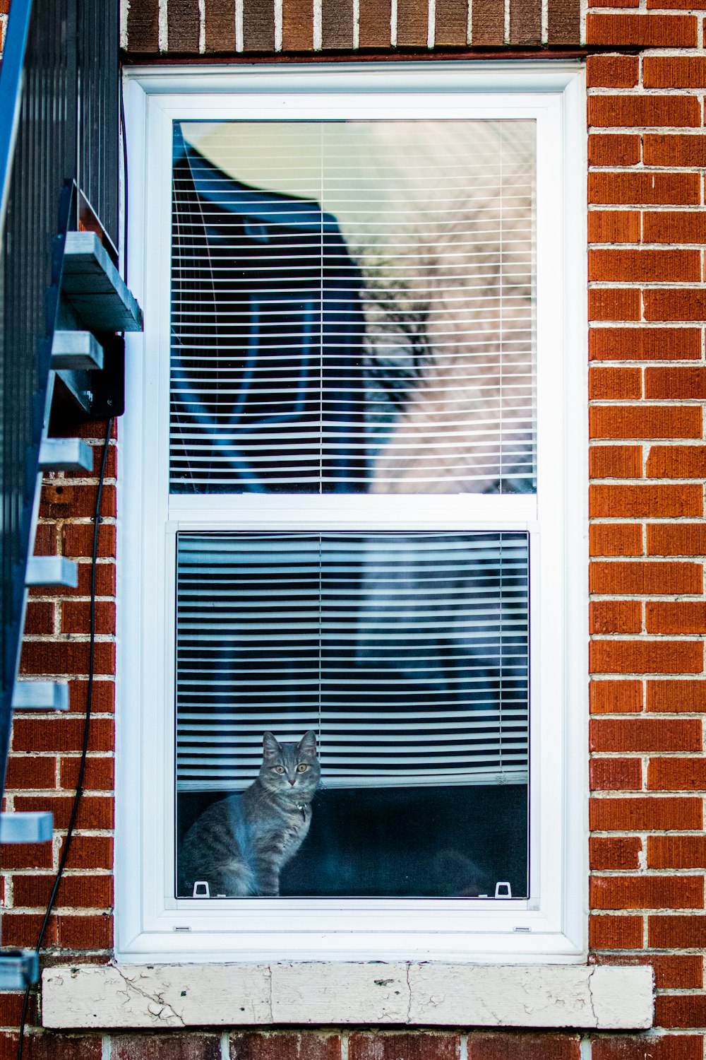 a cat sitting in the window of a brick building