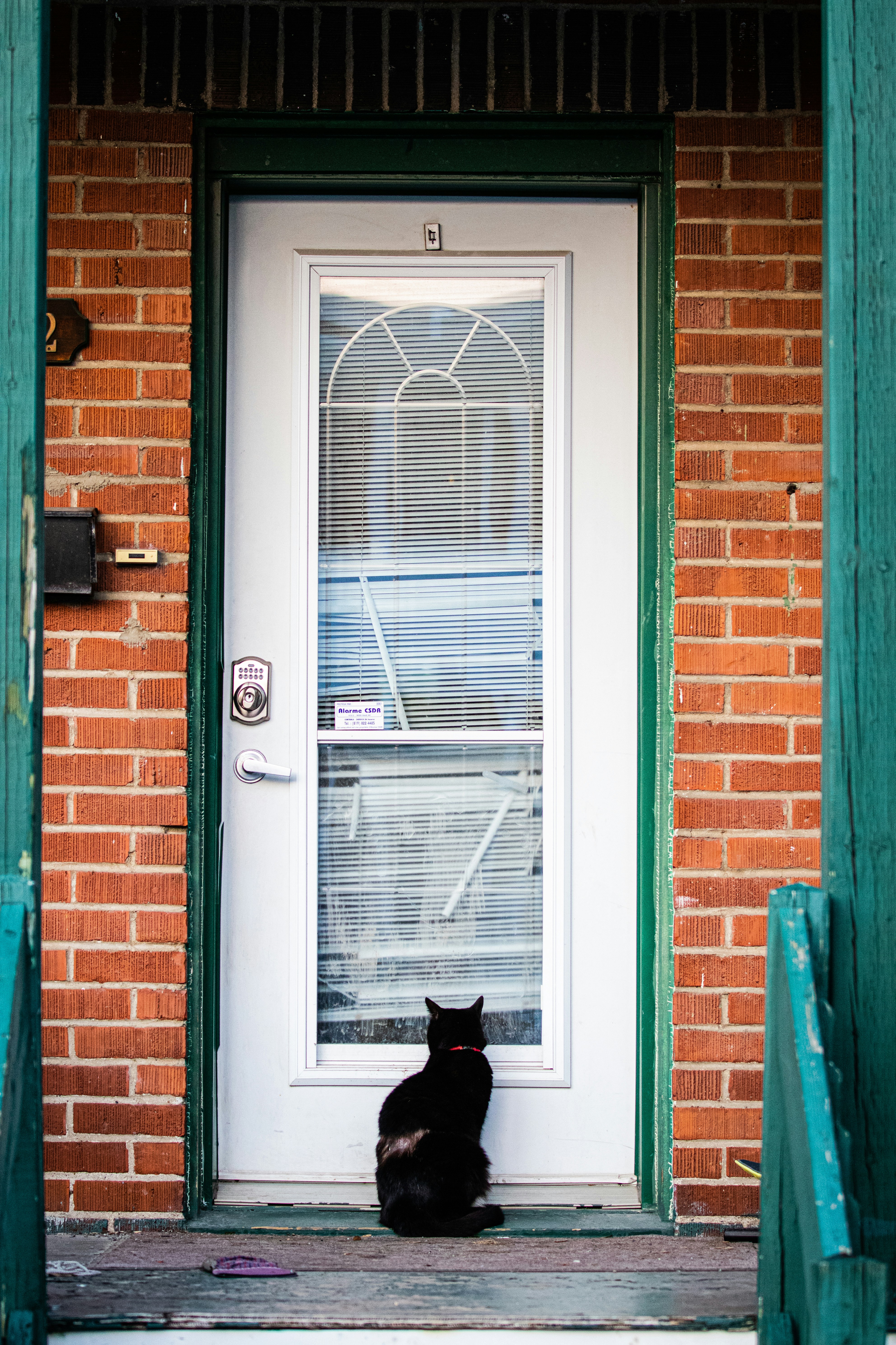 In-person walkthroughs