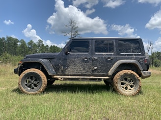 A black off-road vehicle, covered in mud, is parked on a grassy field with a backdrop of a forest and a partly cloudy sky.