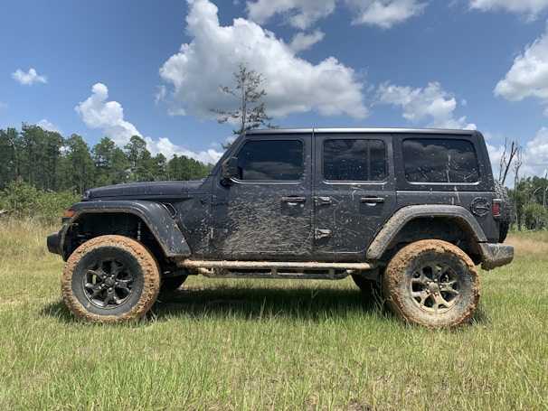 A black off-road vehicle, covered in mud, is parked on a grassy field with a backdrop of a forest and a partly cloudy sky.