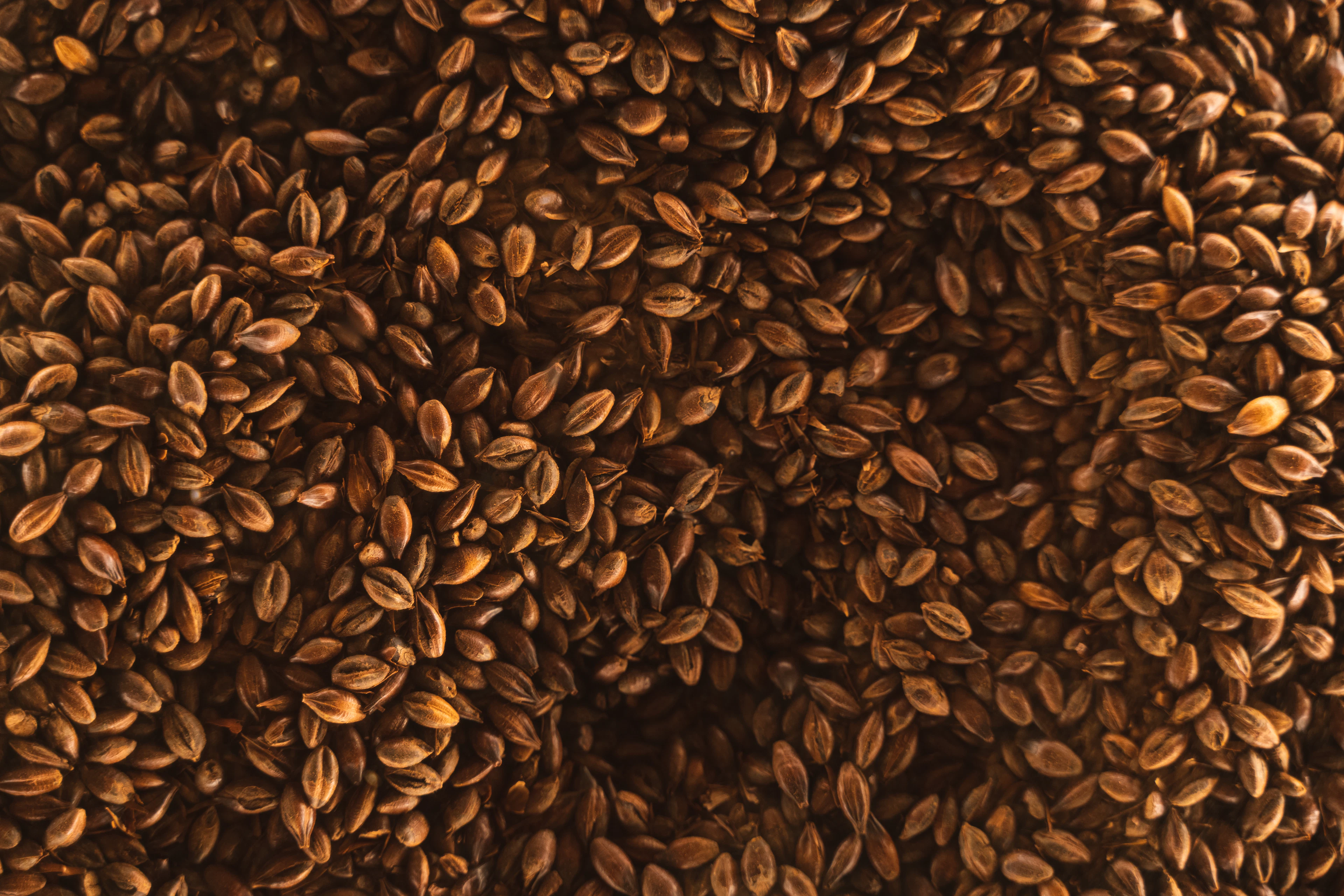 Flax seeds