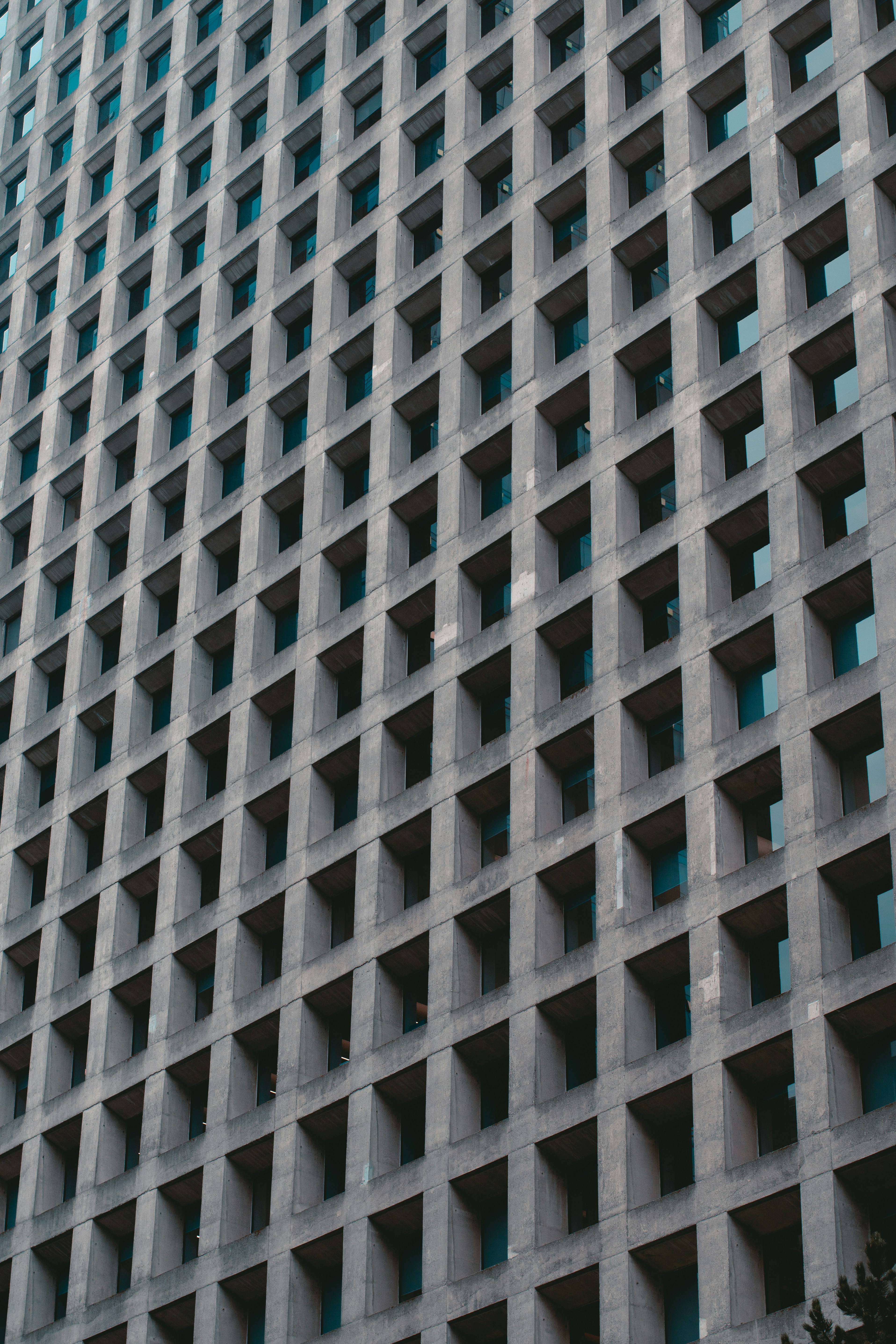 Photo by albertstoynov