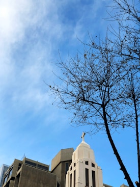 A cityscape featuring modern buildings with a prominent white structure topped by a cross, adjacent to a bare-branched tree. The sky in the background is clear and vibrant blue.