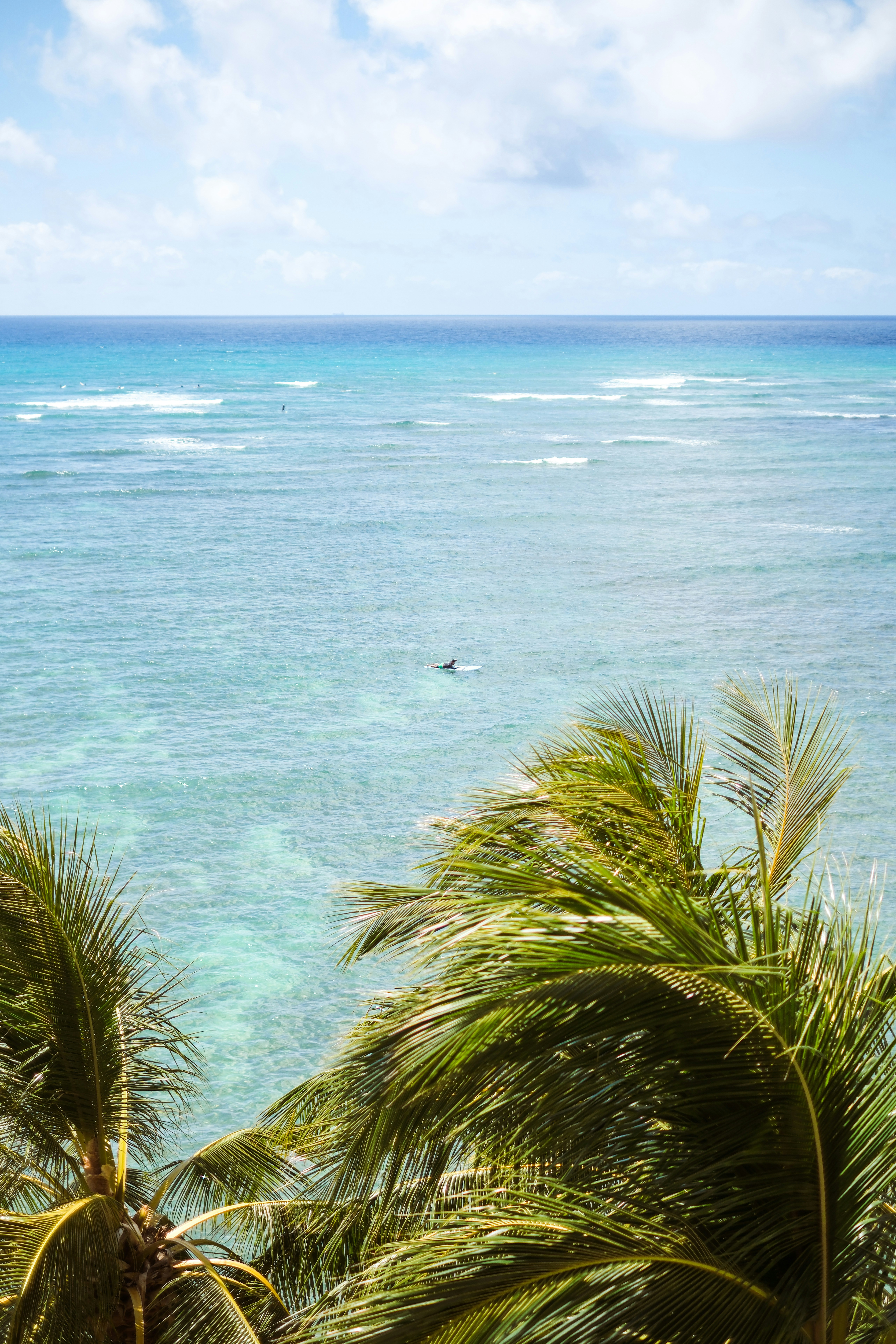 a view of a body of water with palm trees in the foreground
