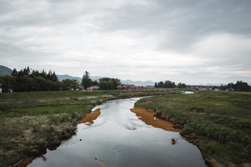 a river running through a lush green field