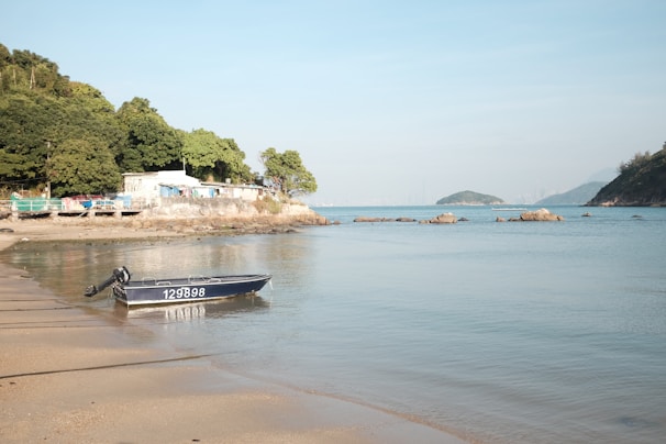 A small motorboat anchored near a sandy beach with lush greenery behind.