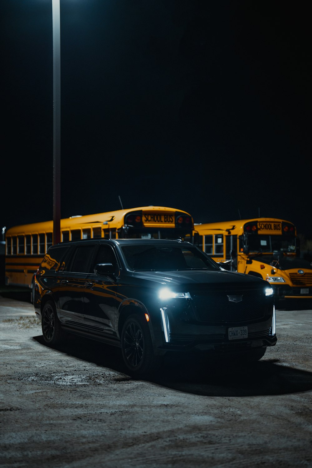 a line of school buses parked in a parking lot