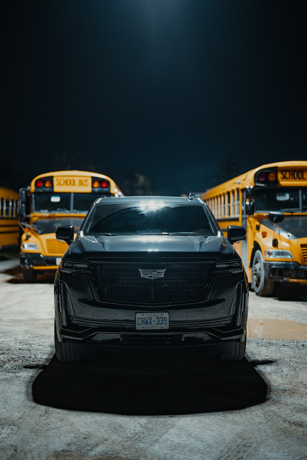 a group of school buses parked in a parking lot