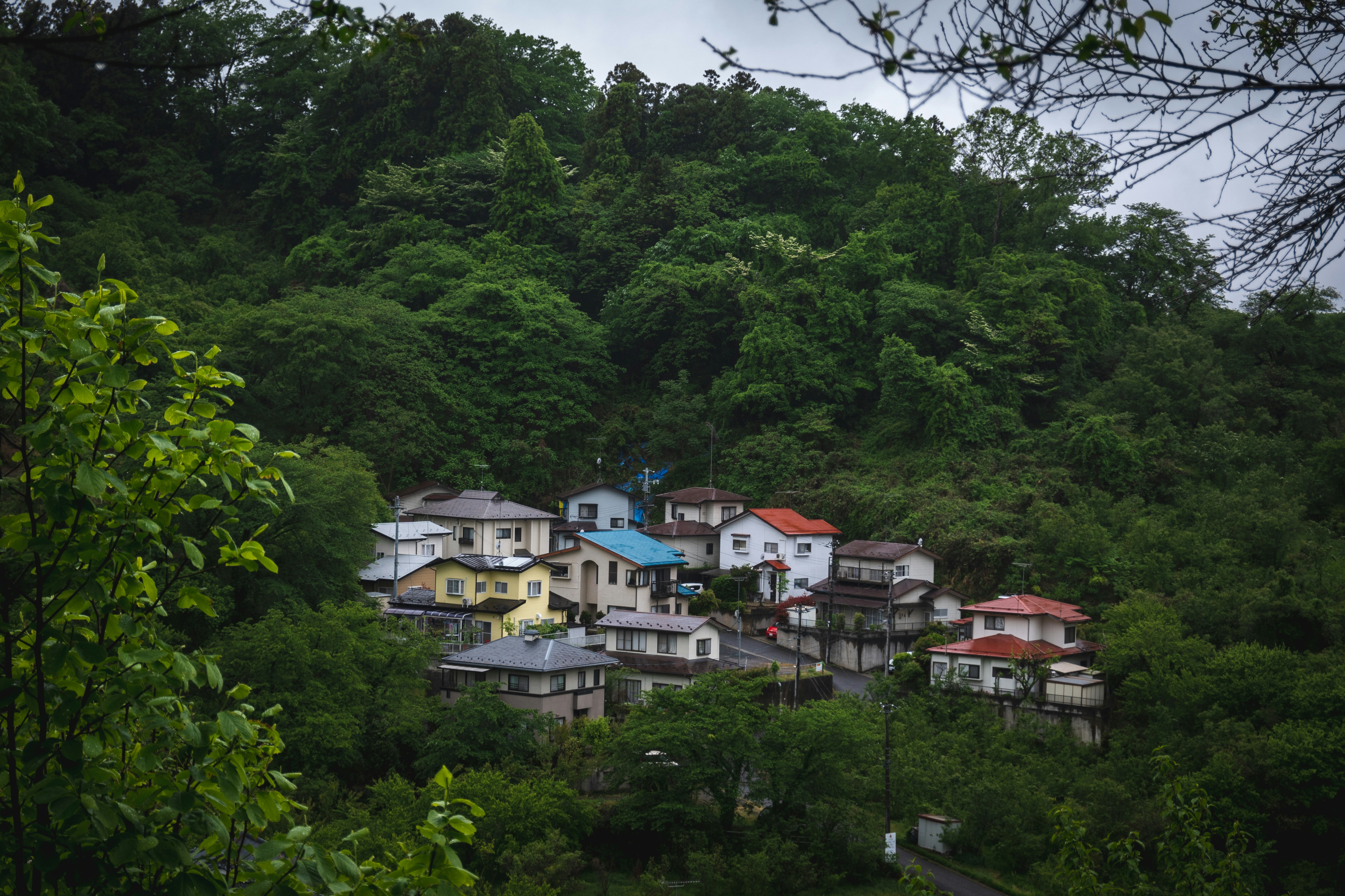 "Manohra Cozy Village"