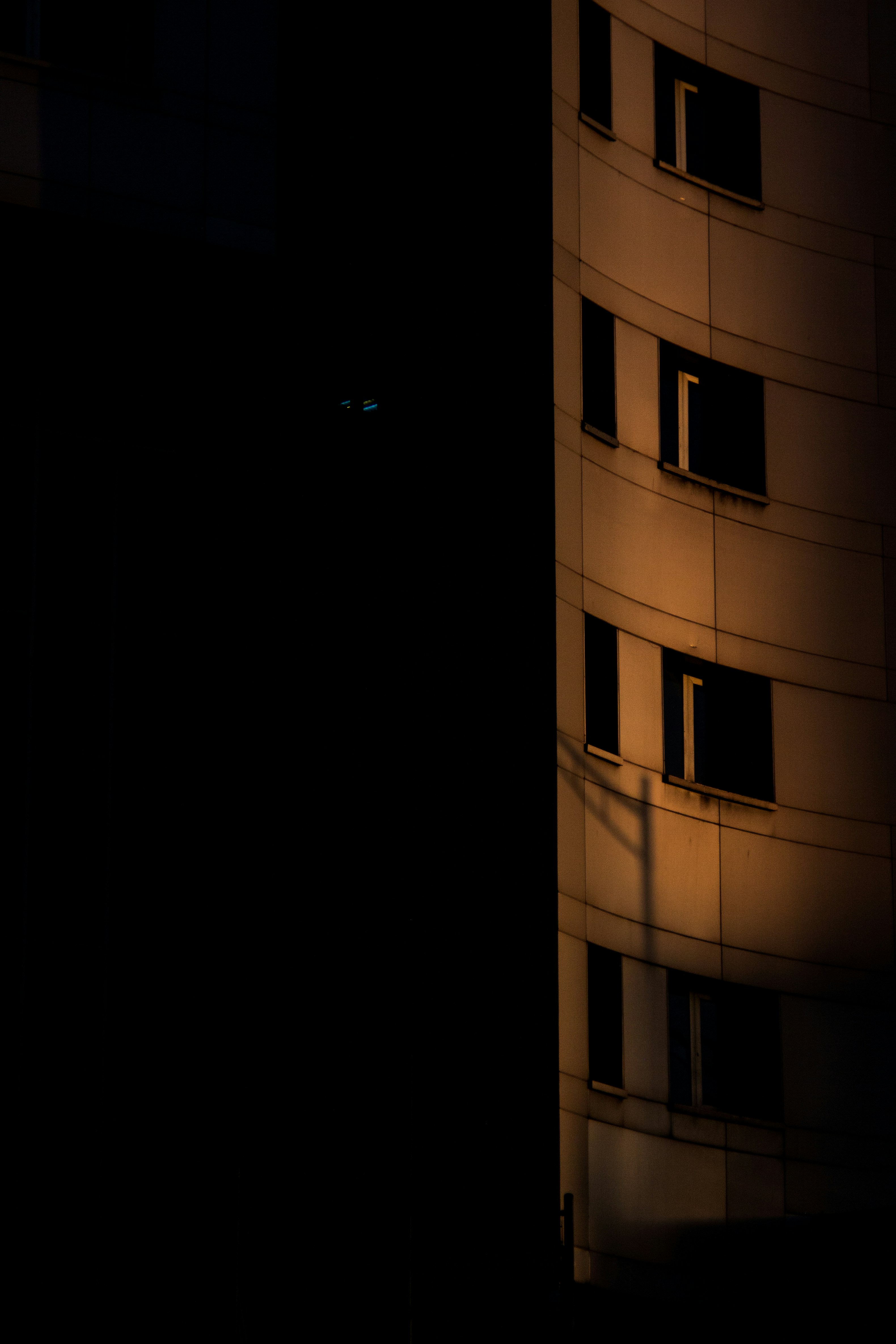 Photo by hossein8728