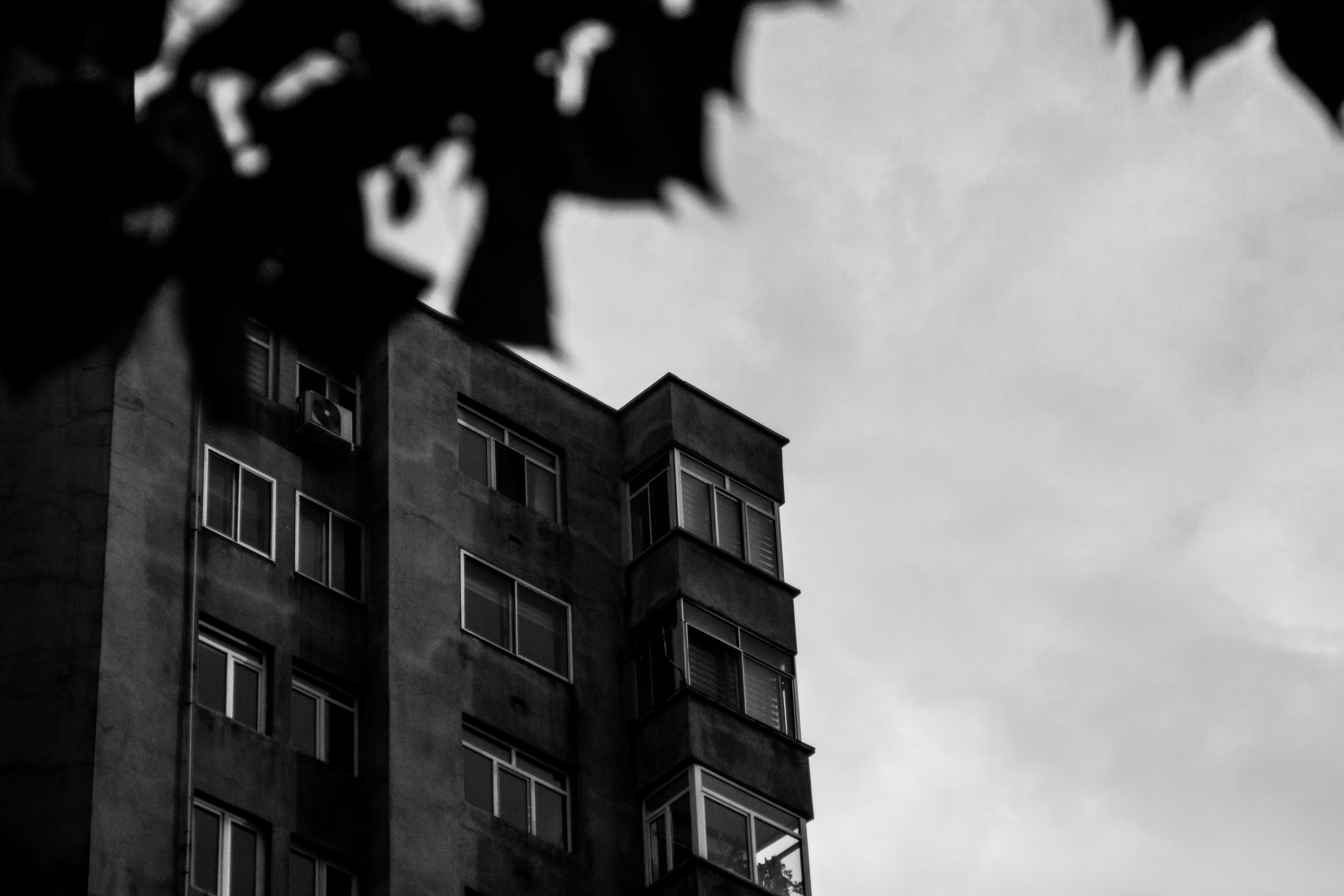 Photo by hossein8728