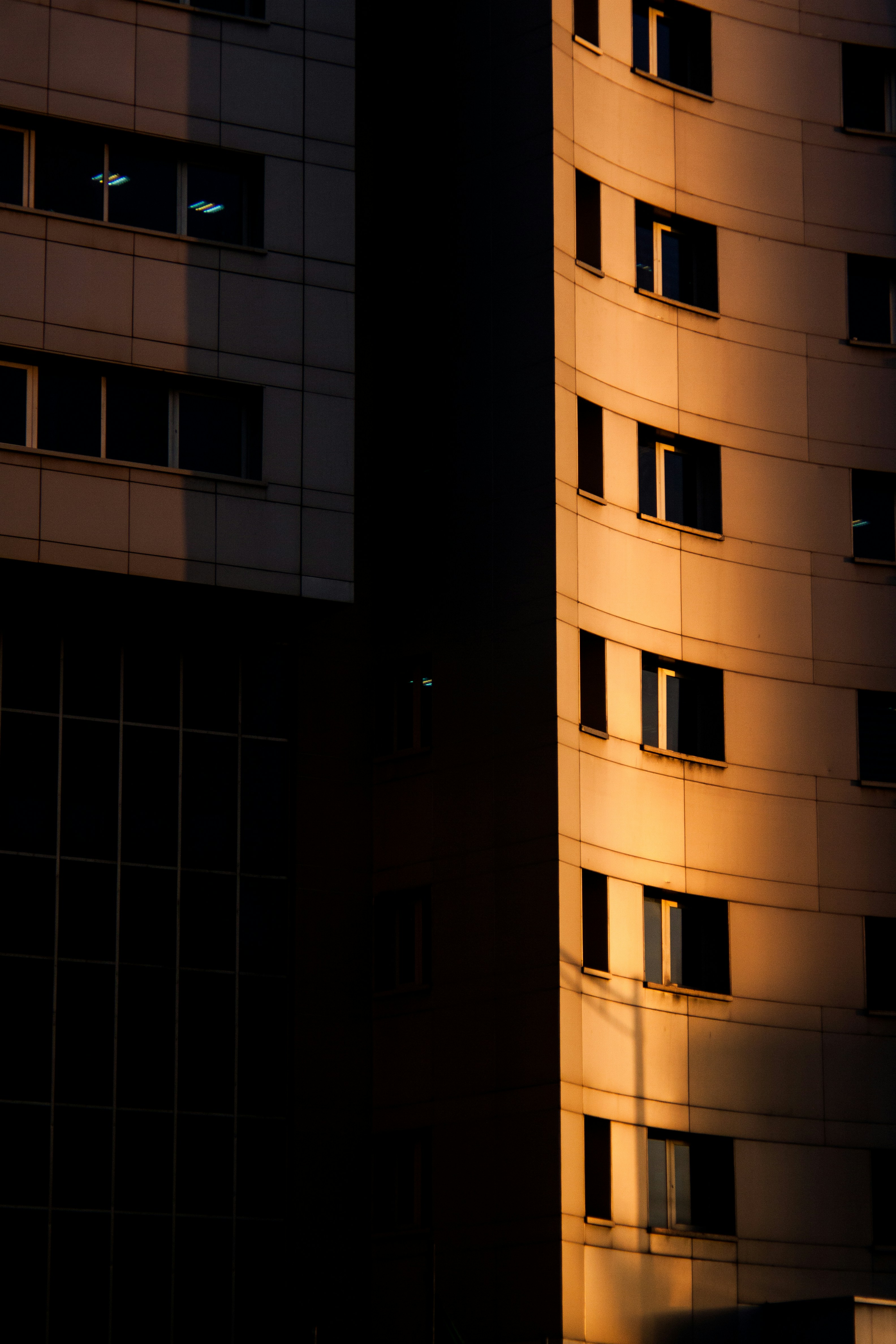 Photo by hossein8728