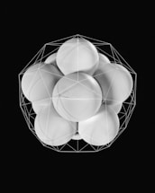 a black and white photo of a bunch of round objects