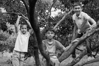 Three young boys climbing up a tree branch