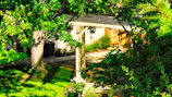 A beautifully designed garden with lush greenery and a wooden pergola under soft sunlight.