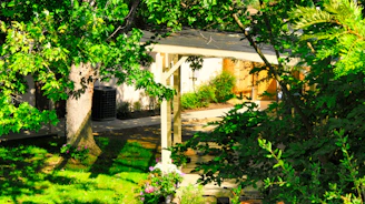A sunlit European garden featuring a sleek wooden pergola surrounded by lush greenery and cozy outdoor seating.