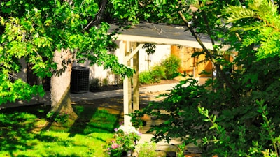 A sunlit garden with a pergola featuring solar panels, surrounded by lush greenery and flowers.