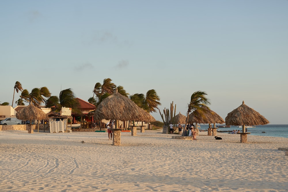 a sandy beach with thatched umbrellas and palm trees