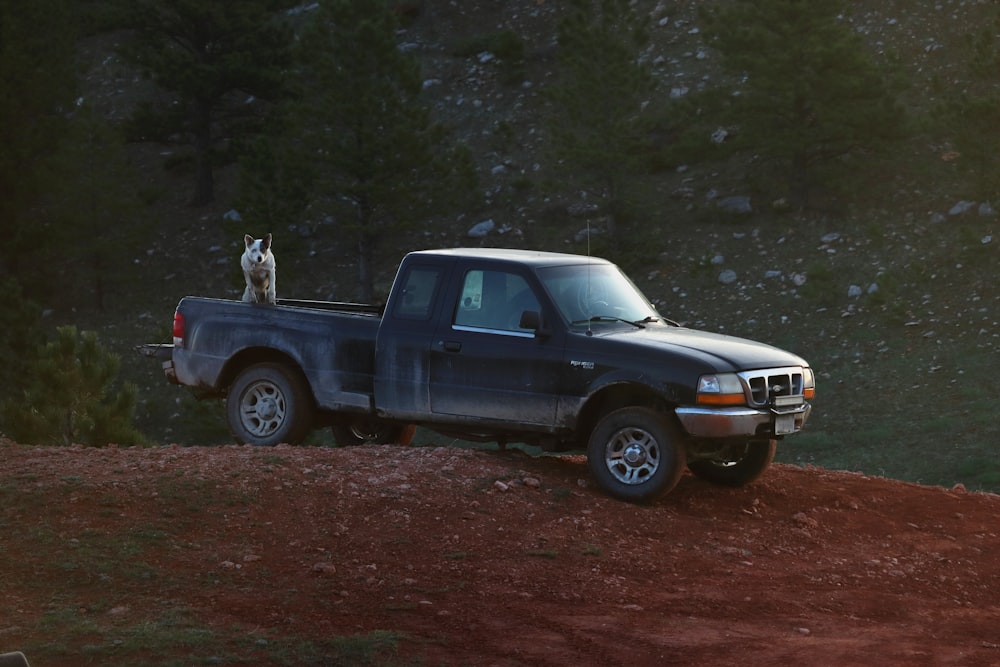 a dog sitting in the back of a pickup truck