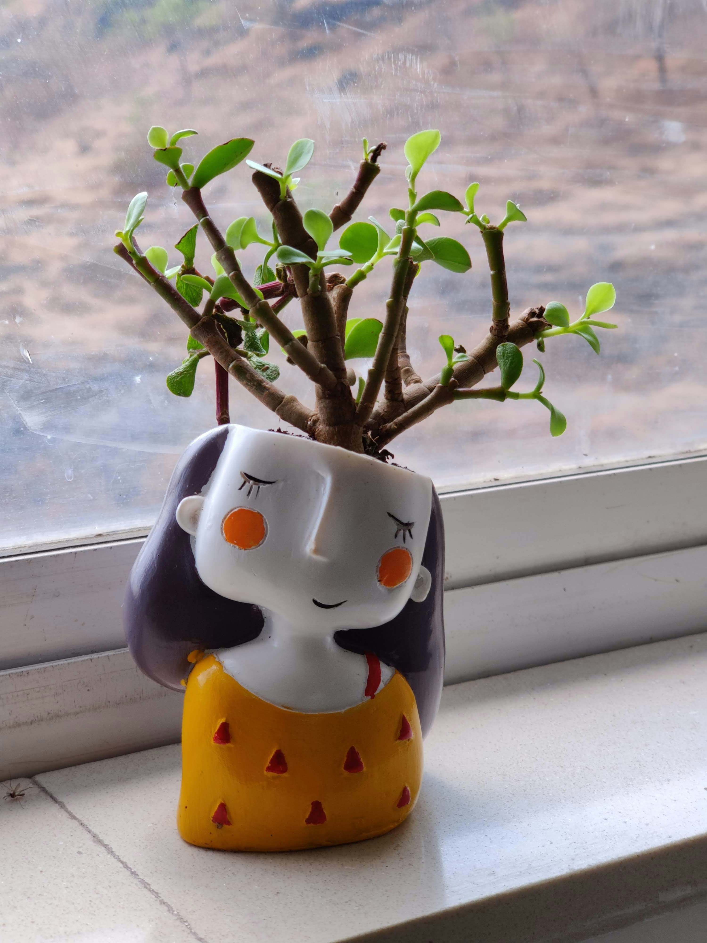 Whimsical Cat Planter