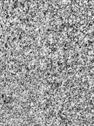 A detailed texture of a granite surface with a speckled pattern of gray, black, and white colors.