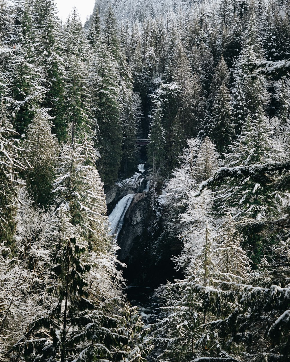 a snow covered forest with a waterfall surrounded by trees