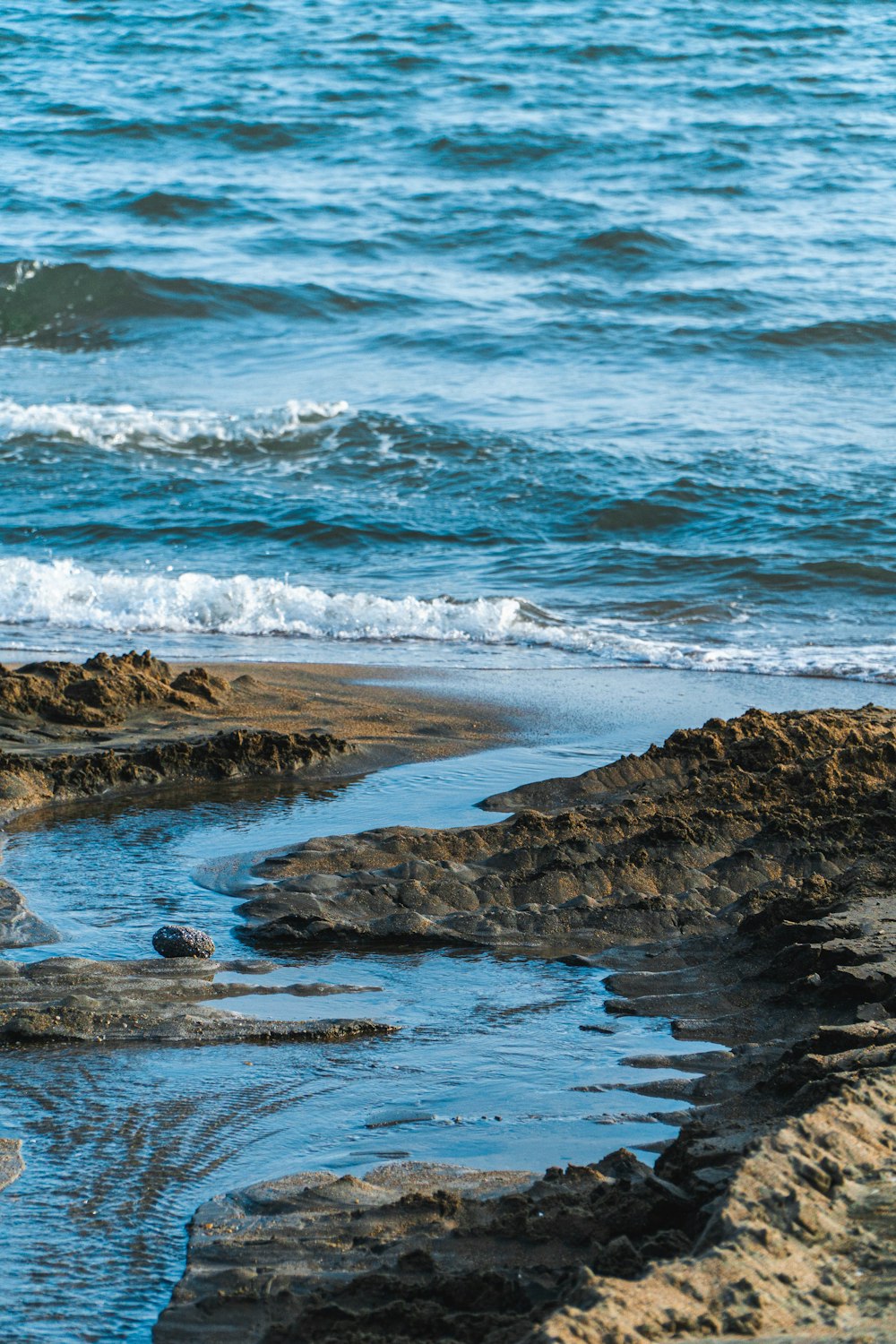 a bird is standing on the rocks near the water