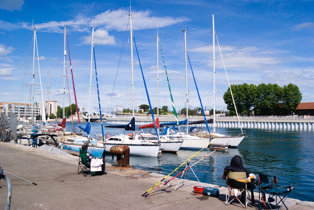 a group of sailboats docked in a harbor